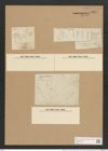 Rhoicosphenia curvata var. marina (W. Sm.) Rabh. (de-Toni-Nr.: Genus 38, Species 1790) Zeichnungen Sammlung Grunow Nr. 3567 (NHMW-BOT-W0371151)